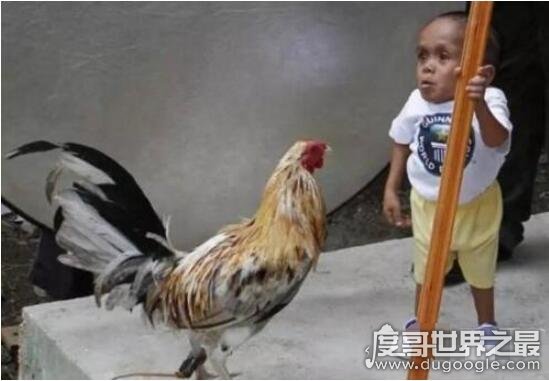 世界最矮的人排名,十大世界最矮袖珍人(最矮一位54.6cm)