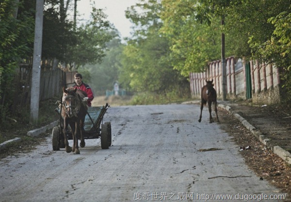 欧洲最穷国家,摩尔多瓦比阿尔巴尼亚还要贫穷 欧洲最穷的国家,摩尔多瓦(还是牲畜拉车水平)