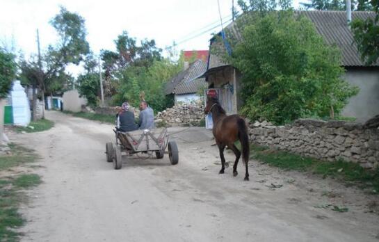 欧洲最穷的国家,摩尔多瓦(还是牲畜拉车水平)
