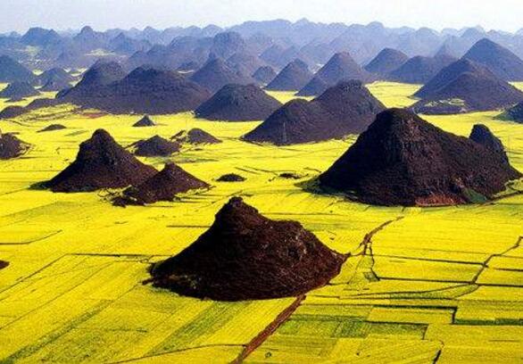 十大世界上最美的地方,罗平油菜花田上榜(美到窒息)
