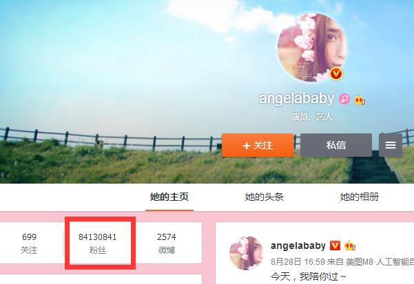 2017最新明星微博粉丝排行榜,谢娜夺冠(获吉尼斯认证)