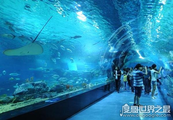 盘点武汉最好玩的十大景点,炎炎夏天去这些地方正合适