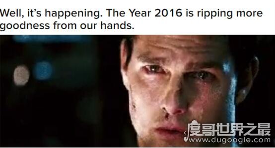 来自东方最可怕的力量,超级萌物大熊猫轰动了整个世界