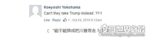 来自东方最可怕的力量,超级萌物大熊猫轰动了整个世界