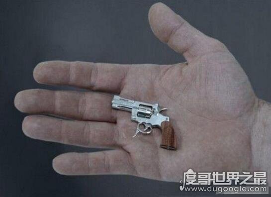 世界十大最小的枪械,长5.5cm重17克获吉尼斯记录认证