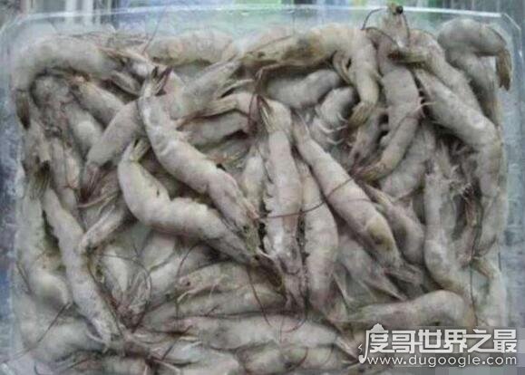 超市最脏的九大食物,冰冻鲜虾是多年前被药水泡的