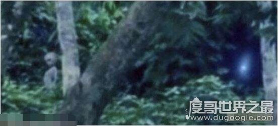 巴西亚马逊外星人事件,游客拍摄到真实的外星人视频