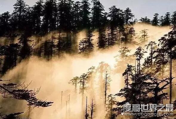 旅游禁地瓦屋山迷魂凼,被称陆地百慕大三角能进不能出