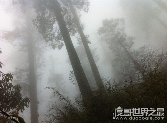 旅游禁地瓦屋山迷魂凼,被称陆地百慕大三角能进不能出