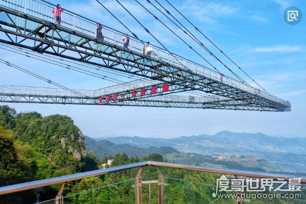 抖音上最火爆的网红城市,西安“摔碗酒”爆红日摔2万个碗